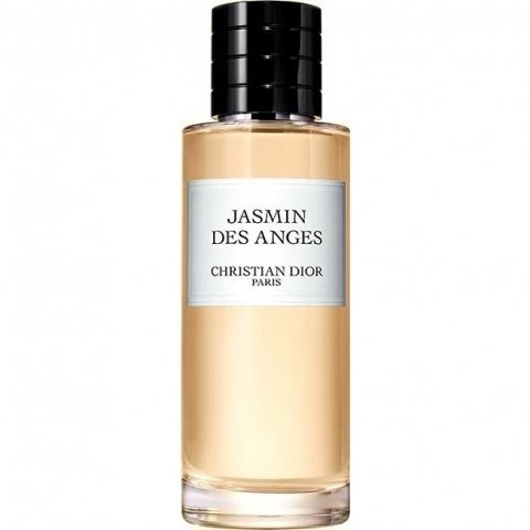 Jasmin des Anges